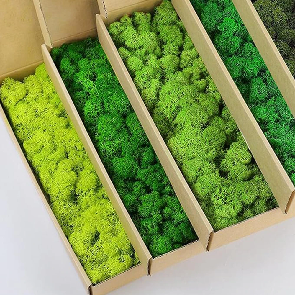 20–200 g künstliche grüne Pfla – Sphagnum Moss Dry Bewertung und Preis