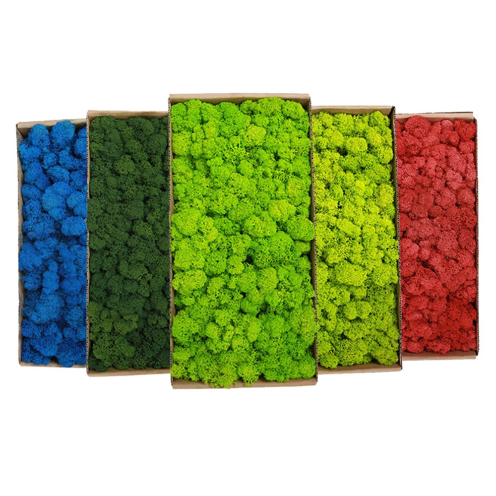20–200 g künstliche grüne Pfla – Sphagnum Moss Dry Bewertung und Preis