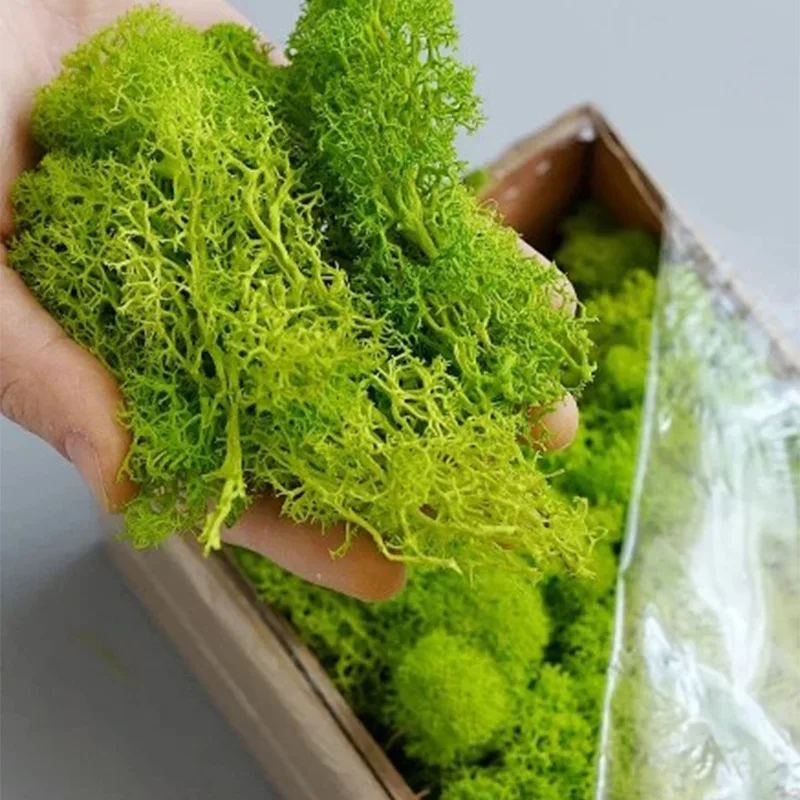 20–200 g künstliche grüne Pfla – Sphagnum Moss Dry Bewertung und Preis