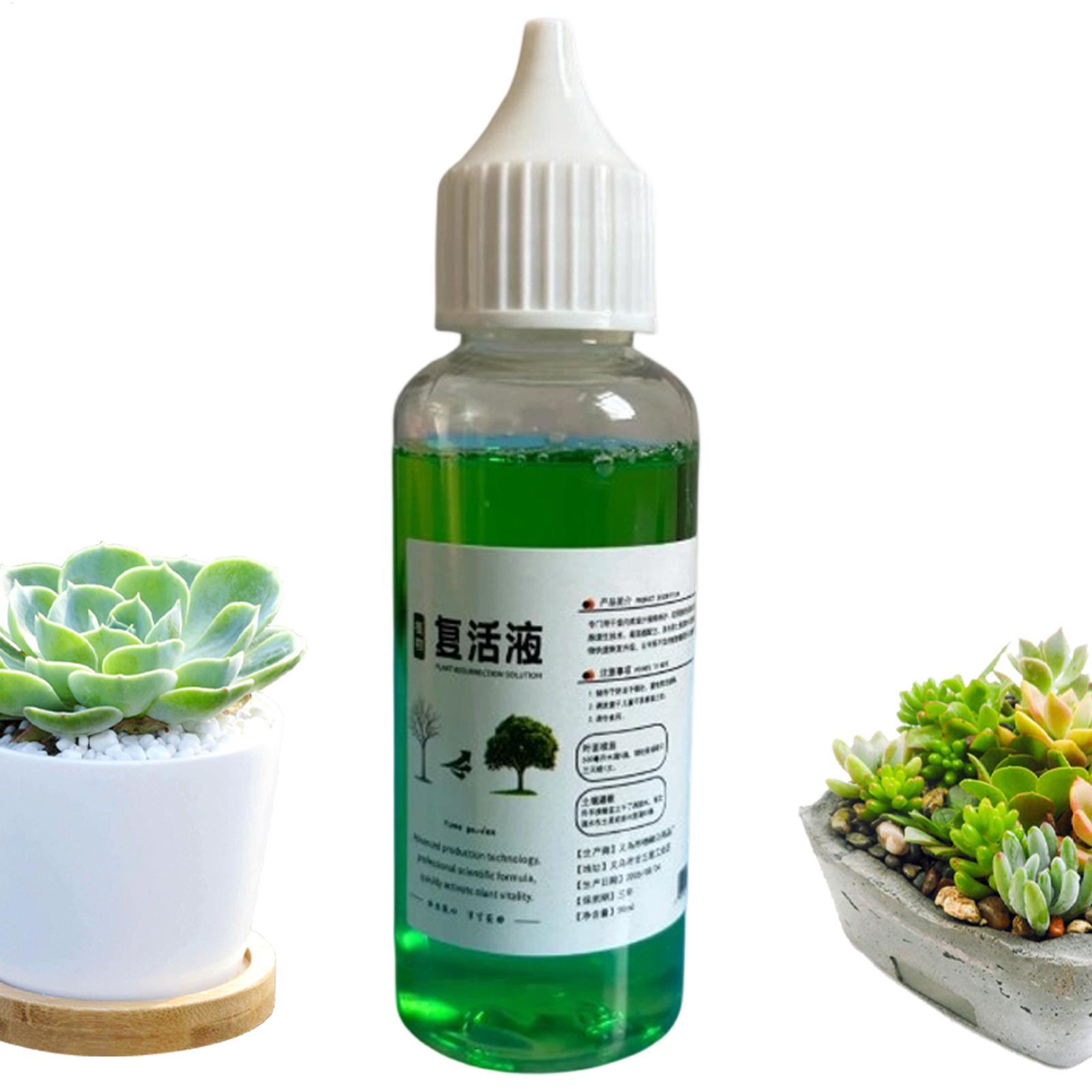 Wurzelstimulator für Pflanzen, – Root Stimulator Liquid Bewertung und Preis