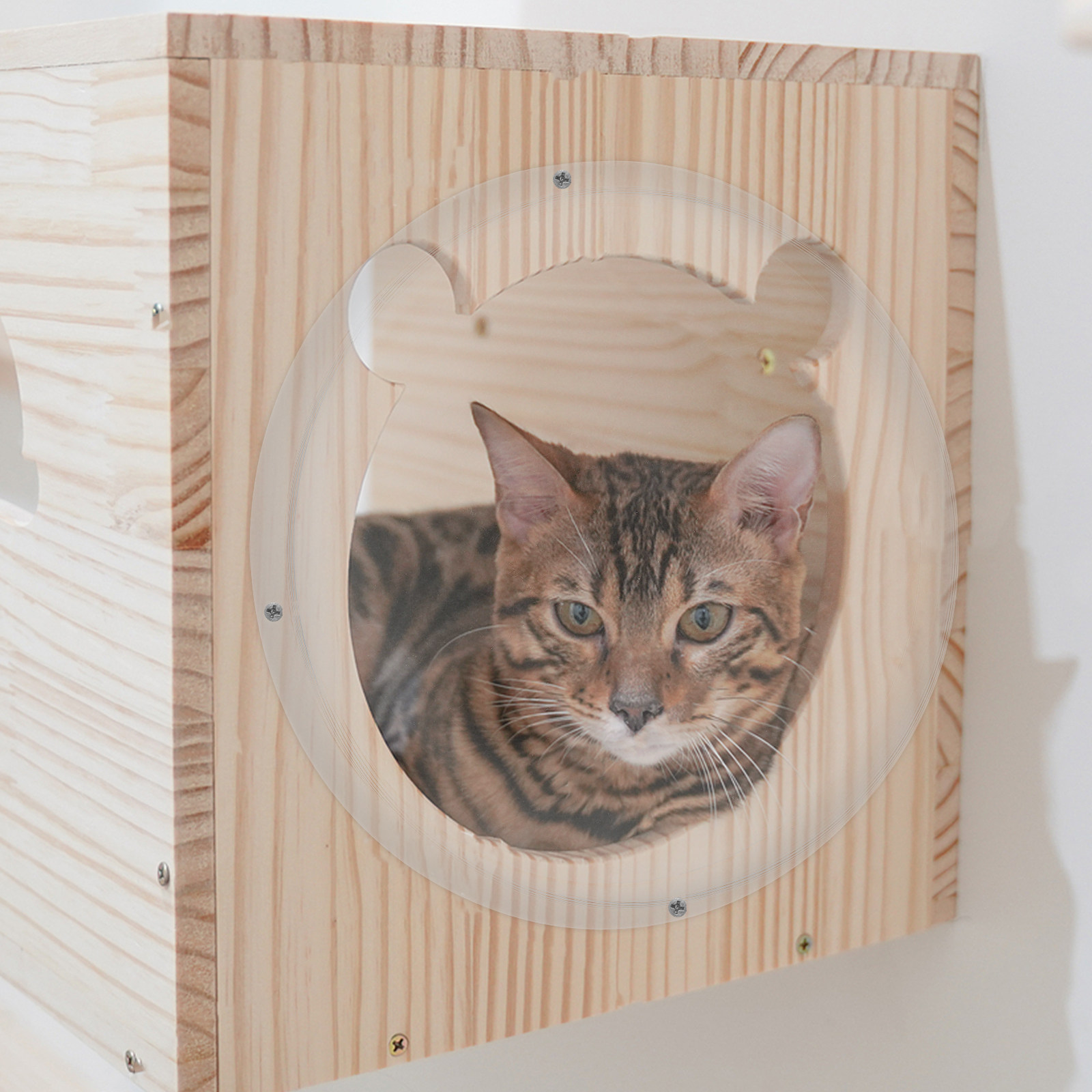22 cm Klares Acryl-Katzenkisse – Plastic Dome Clear Bewertung und Preis