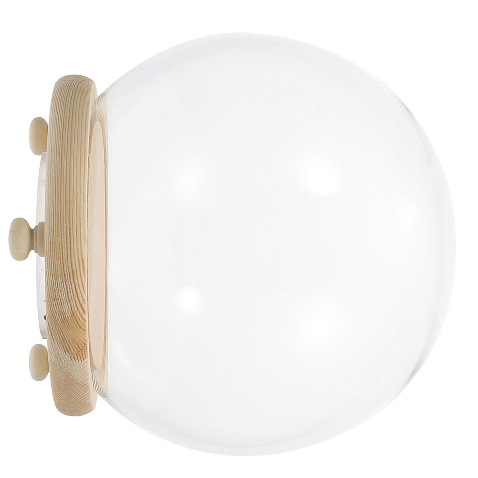 Konservierte Blumen-Glaskuppel – Plastic Dome Clear Bewertung und Preis