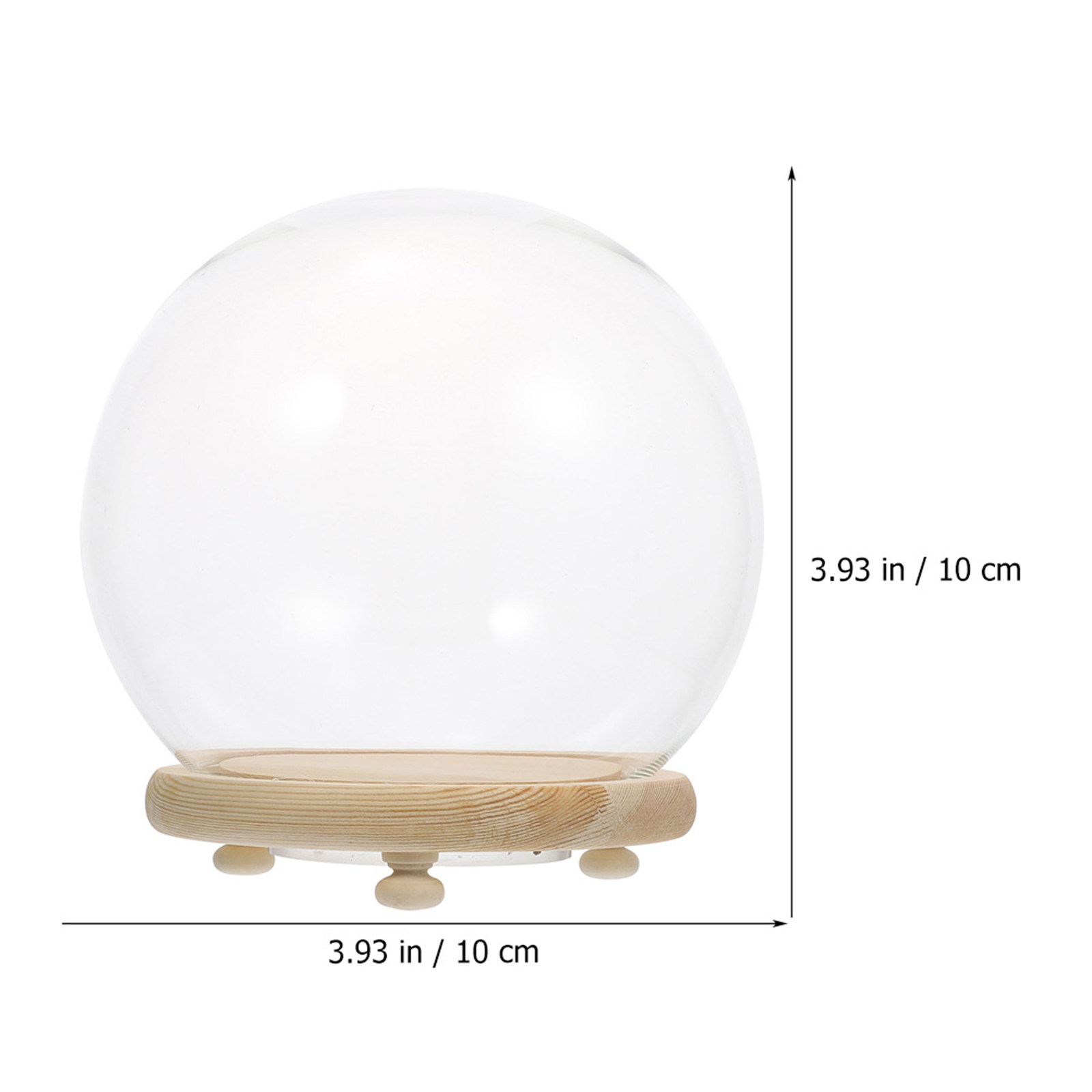 Konservierte Blumen-Glaskuppel – Plastic Dome Clear Bewertung und Preis