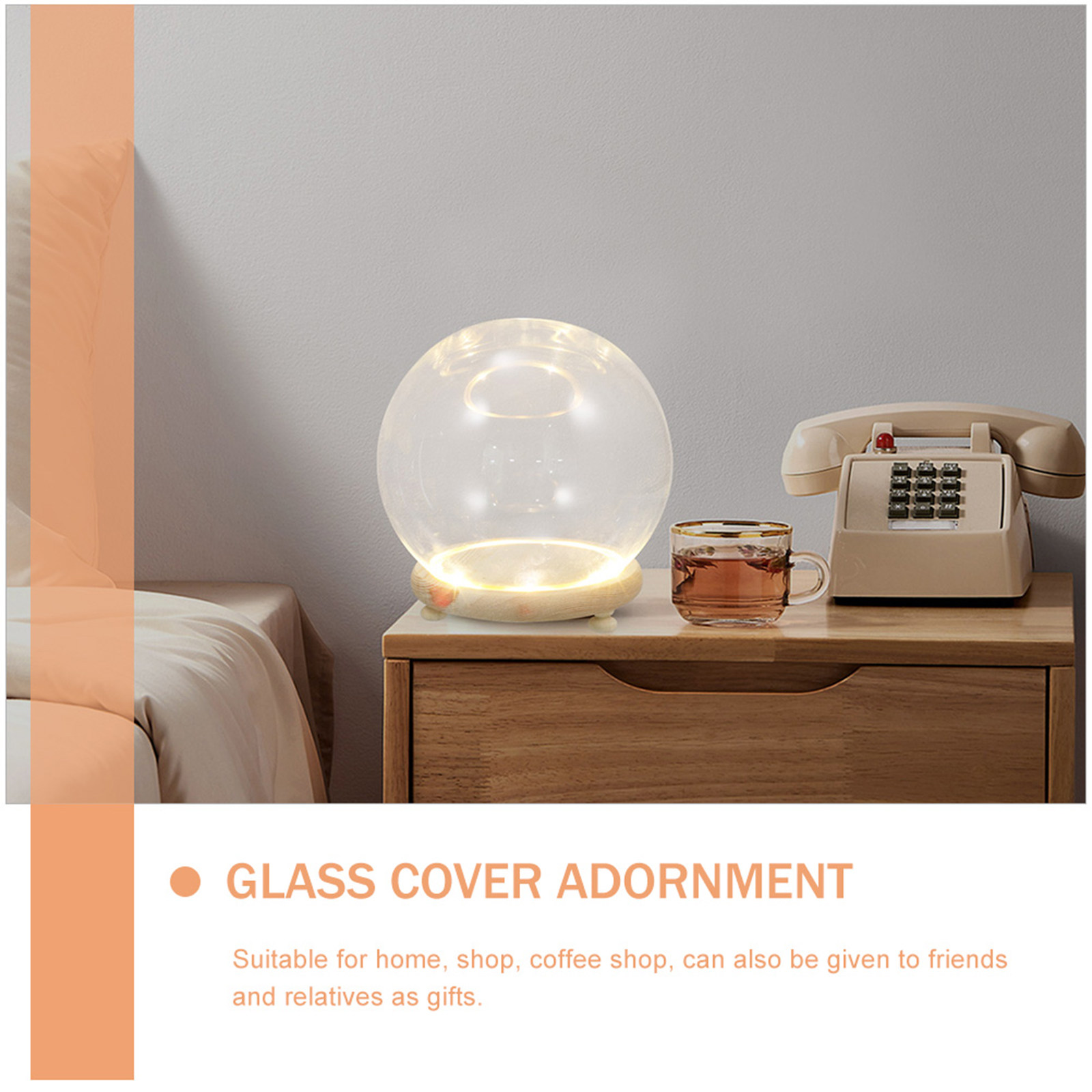 Konservierte Blumen-Glaskuppel – Plastic Dome Clear Bewertung und Preis