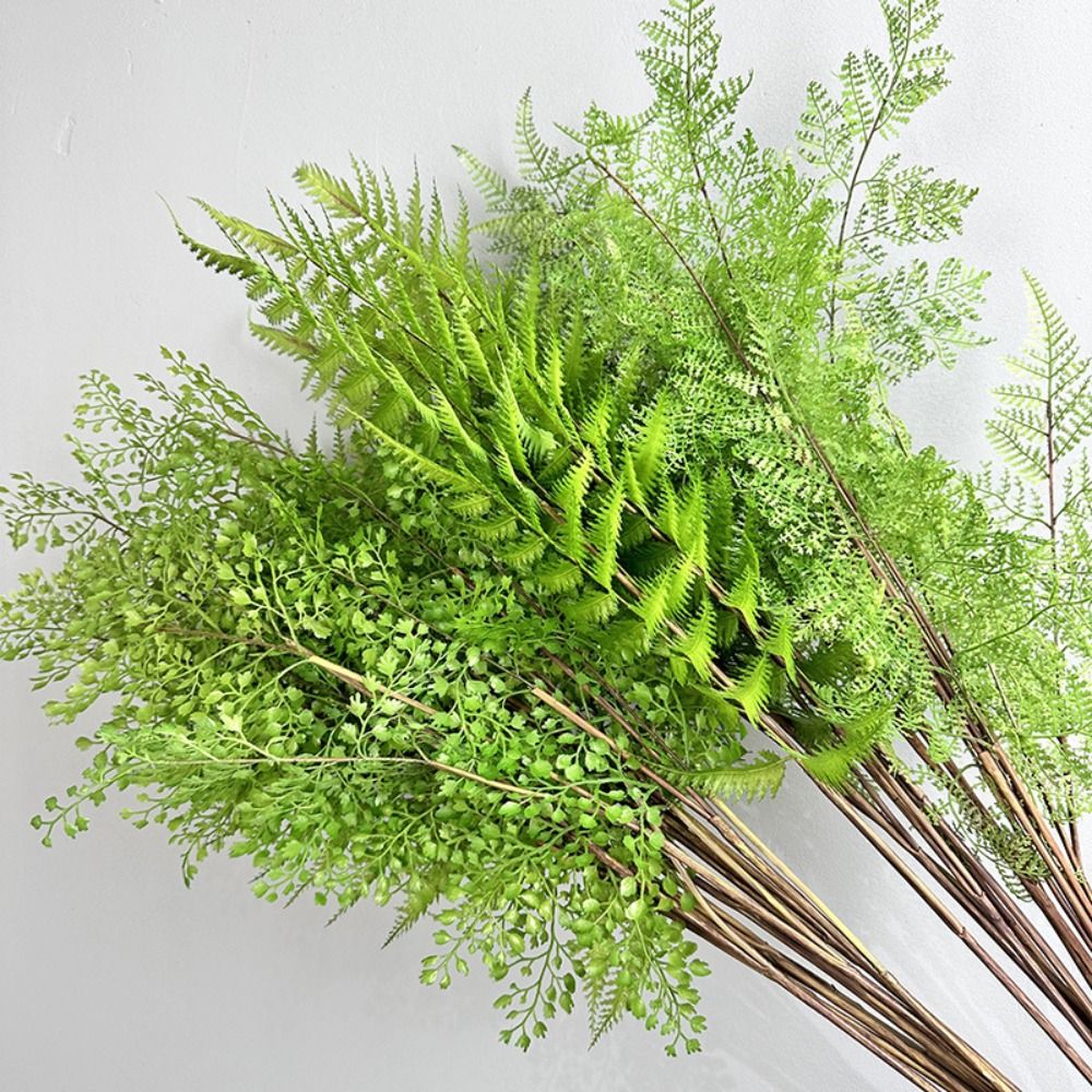 Realistische künstliche Farnpf – Sphagnum Moss Dry Bewertung und Preis