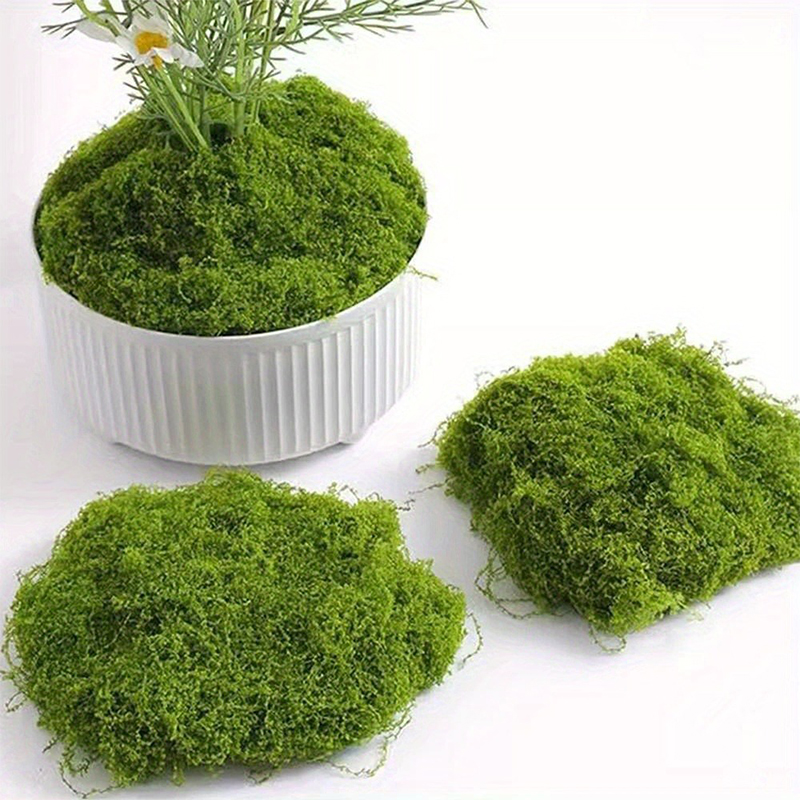 Grünes Kunstmoos für DIY-Proje – Sphagnum Moss Dry Bewertung und Preis