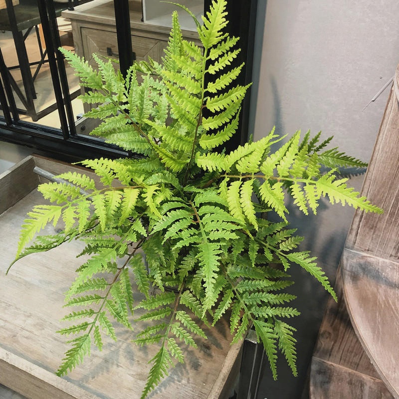 1 Stück künstliche Pflanzen Sc – Sphagnum Moss Dry Bewertung und Preis