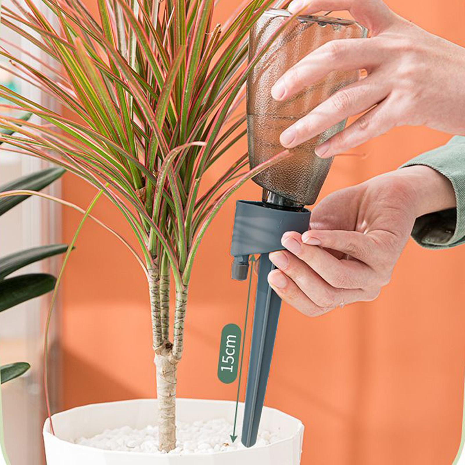 6-teiliges Automatisches Bewäs – Self Watering Insert Bewertung und Preis