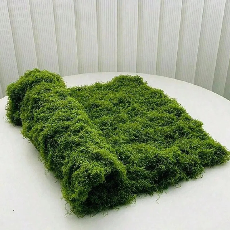 Künstliches Moos für Mikroland – Sphagnum Moss Dry Bewertung und Preis